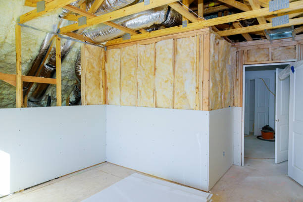 Best Cellulose Insulation in Newport, AR