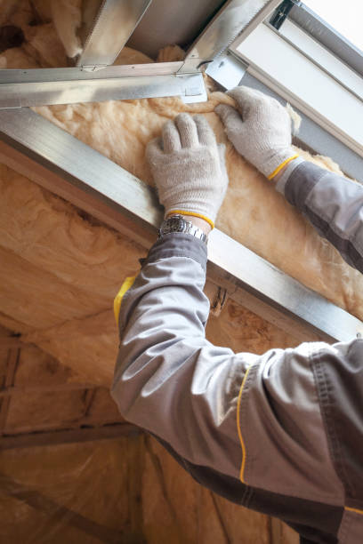 Best Geographic-Specific Insulation Services in Newport, AR