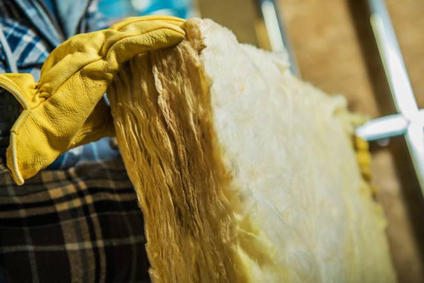 Best DIY Insulation Kits and Guidance in Newport, AR