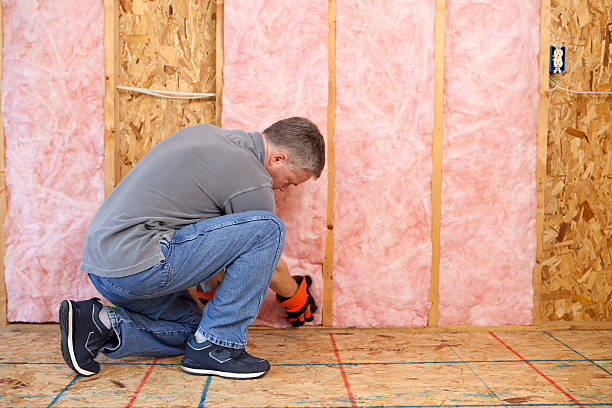 Best Blown-in Insulation in Newport, AR