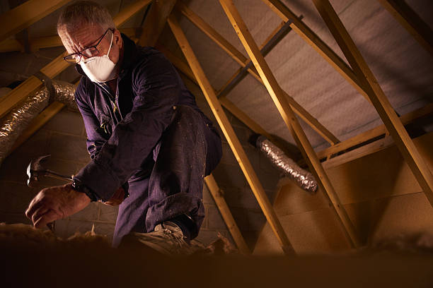 Best Insulation for Specific Applications in Newport, AR